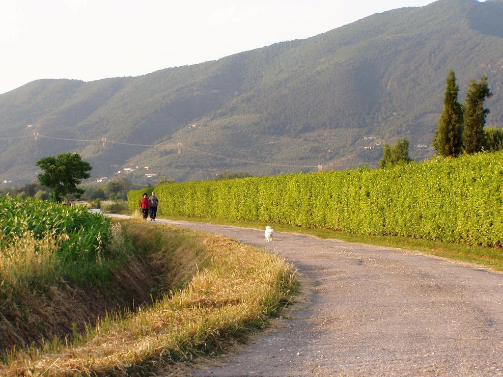 Agriturismo La Pisana Φύση φωτογραφία